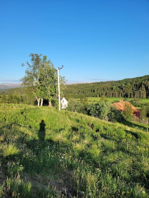 Skogan Leilighet Leirfjord Eksteriør bilde