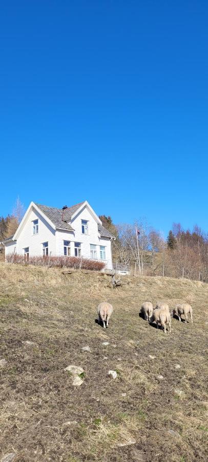 Skogan Leilighet Leirfjord Eksteriør bilde